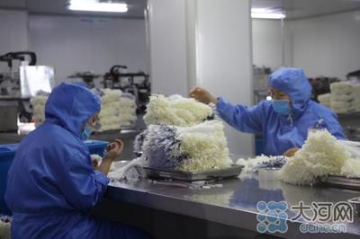 郟縣傾力打造中部地區(qū)知名醫(yī)用耗材產(chǎn)銷地，建設(shè)50億級產(chǎn)業(yè)集群