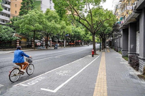 虹口區(qū)四條道路榮膺2019年度上海市精品示范路稱號