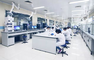 跨界引領 齊魯制藥李燕當選中國醫藥企業管理協會輪值會長，彰顯行業管理智慧新融合